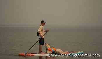 Wildfire in British Columbia harmed 150 structures and forced 20,000 to evacuate