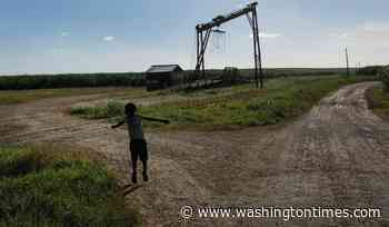 Watchdog calls for U.S. import ban as forced labor persists in Dominican sugarcane fields