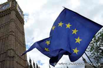 Burnham urged to join EU pact to tackle small boats and fix Brexit ‘mess’