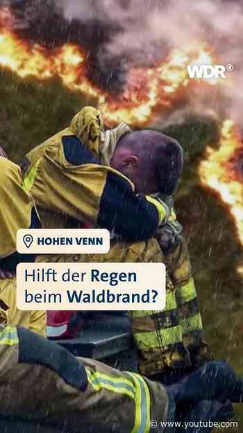 Waldbrand in Hohen Venn | WDR #shorts #Waldbrand #Monschau