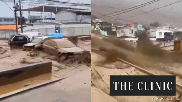 Alcaldesa de Tocopilla y las horas críticas que vive la comuna: “El panorama es muy desolador y lamento no estar exagerando”