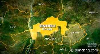 Police arrest suspected vandal after electrocution in Enugu
