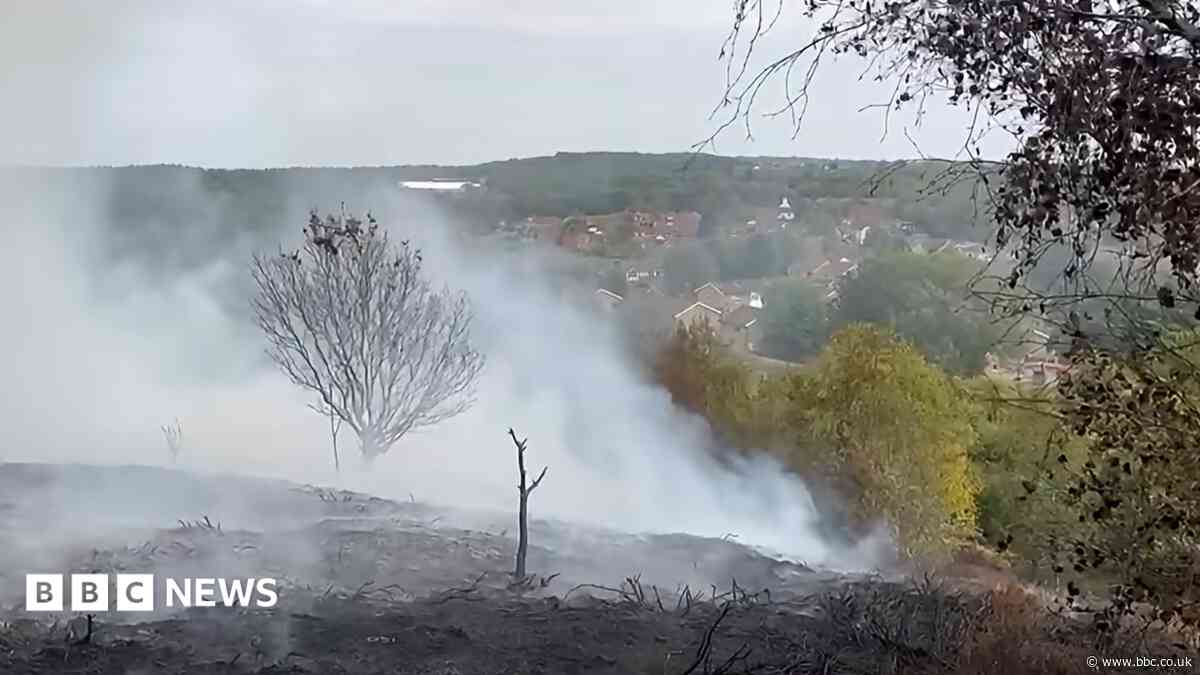 Boys arrested over wildfire at beauty spot
