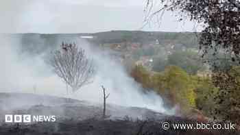 Boys arrested over wildfire at beauty spot