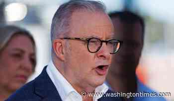 Australian PM Anthony Albanese slams states for stalling on national gun buyback