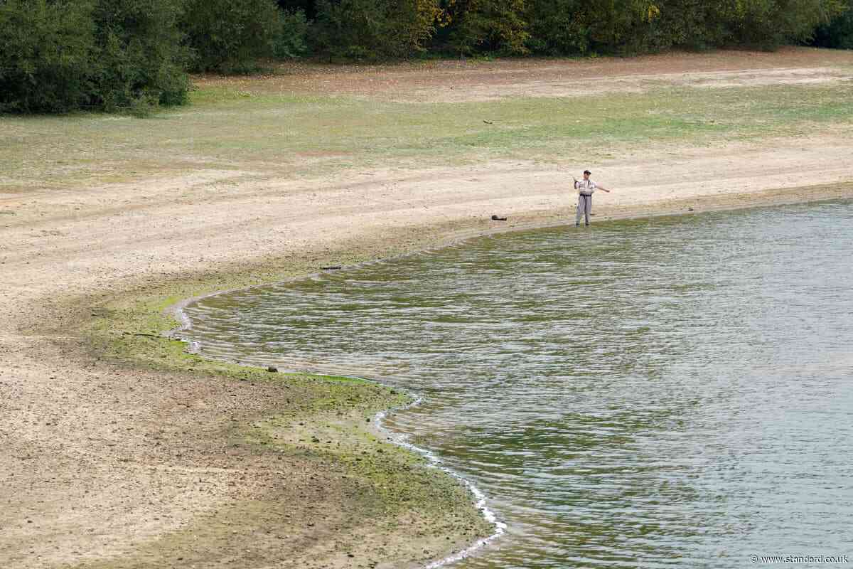 Rain in coming days won’t solve drought overnight – forecaster