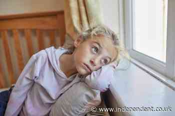 Children’s helpline says number of calls about child domestic abuse cases has risen 80% in five years