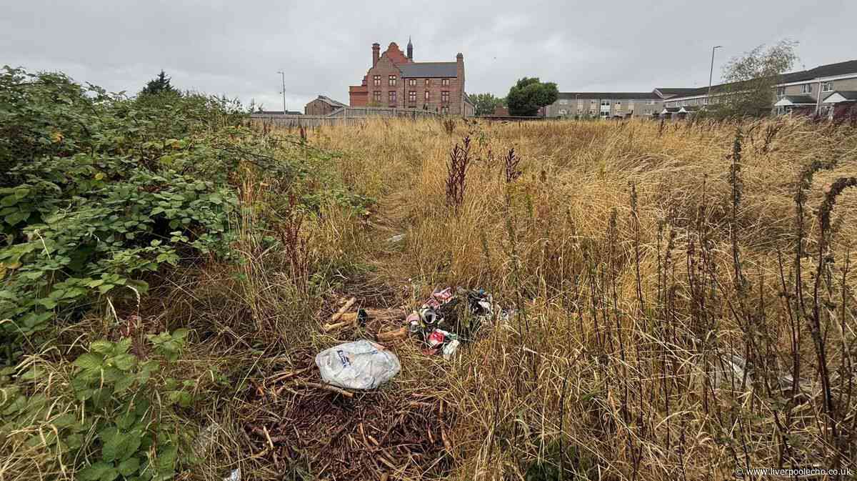 Patch of Liverpool land was 'once a lovely place' but now 'it's like a dump'