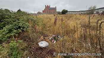 Patch of Liverpool land was 'once a lovely place' but now 'it's like a dump'