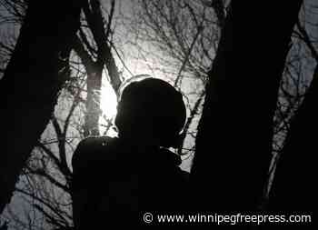 Province officially recognizes arboriculture as a trade