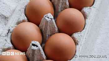 One dead and hundreds ill in UK salmonella outbreak