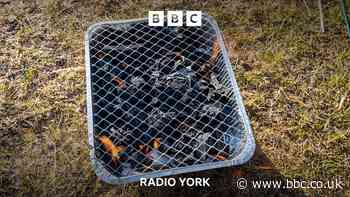 Scarborough MP backs disposable barbecue ban