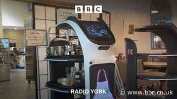 The garden centre cafe with robot waiters