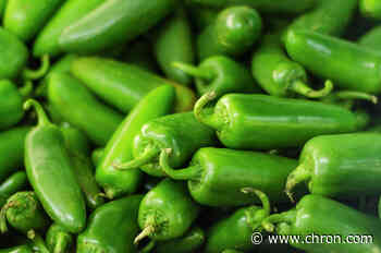Texas Costco jalapeños recalled after salmonella warning