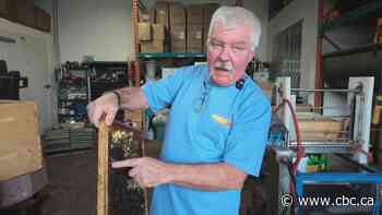 Essex-area honey producers fear impact of new U.S. tariffs — even if they don't export their product
