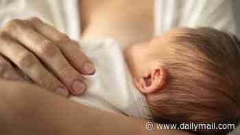 Internet star was raped by her husband while breastfeeding their baby, shocking criminal complaint alleges