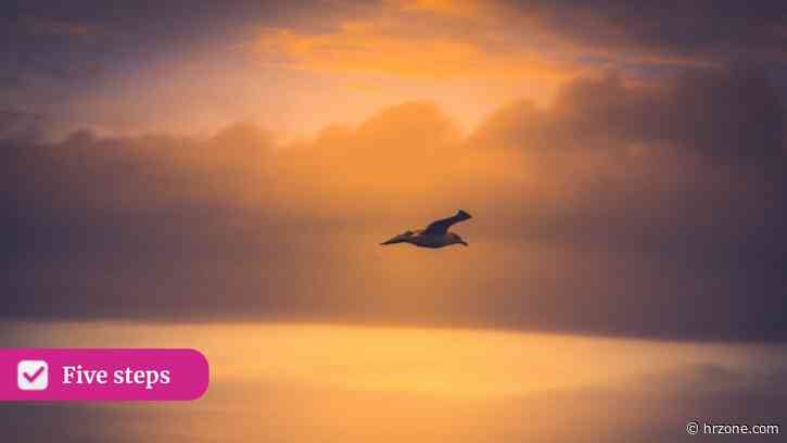 Five steps: Confidence-building shifts to move from HR Director to CHRO