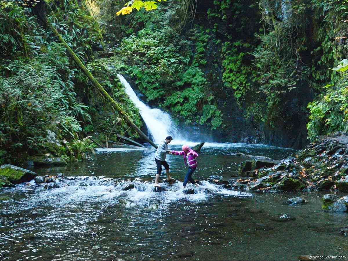 Bad year for B.C. drownings continues with Vancouver Island death