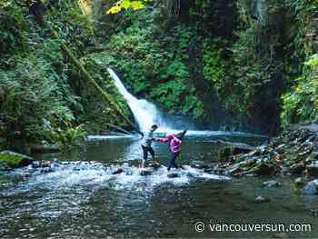 Bad year for B.C. drownings continues with Vancouver Island death