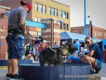 Photo Gallery: Hens &amp; Hounds night