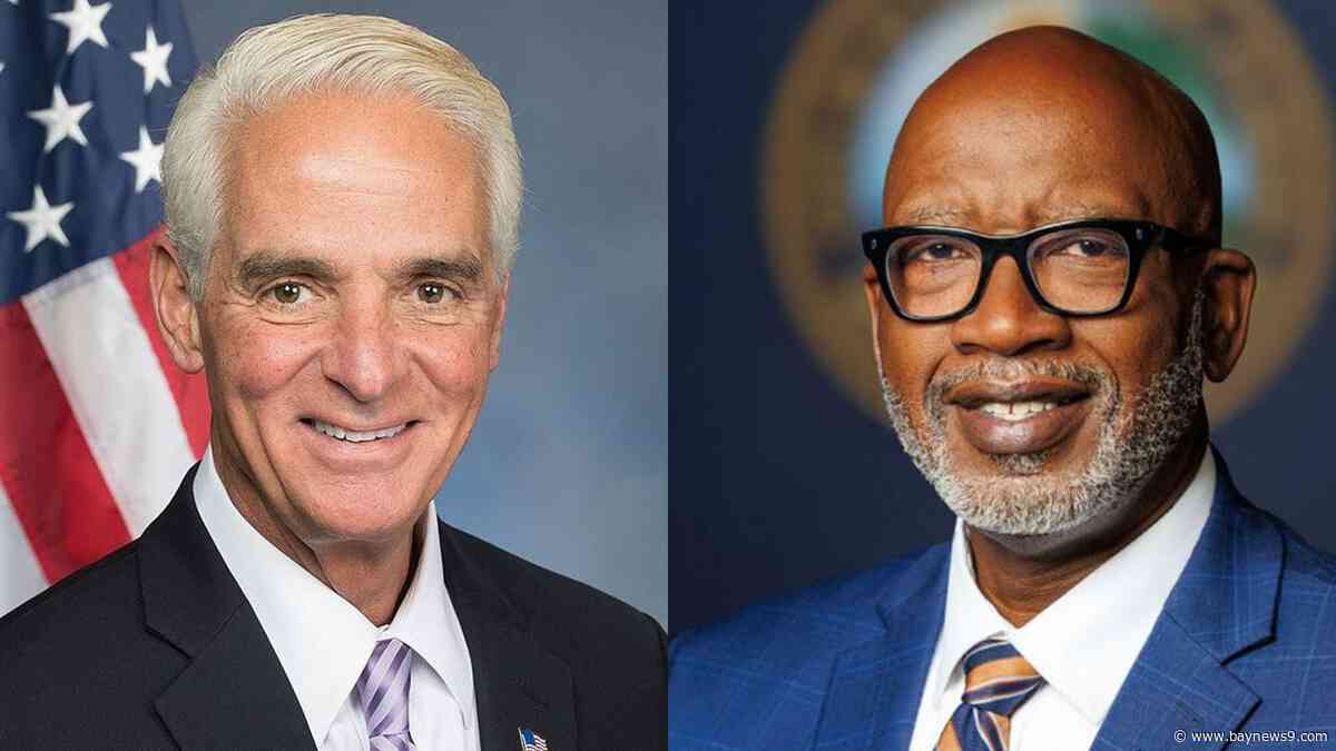 Welch, Crist head to mayoral election runoff in November
