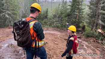 Critical adds golden string to Canadian lithium bow