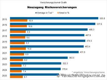 So lief 2025 das Geschäft mit Risikoversicherungen
