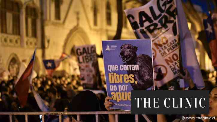 Cámara aprueba proyecto que prohíbe las carreras de perros y rechaza propuesta que buscaba regularlas