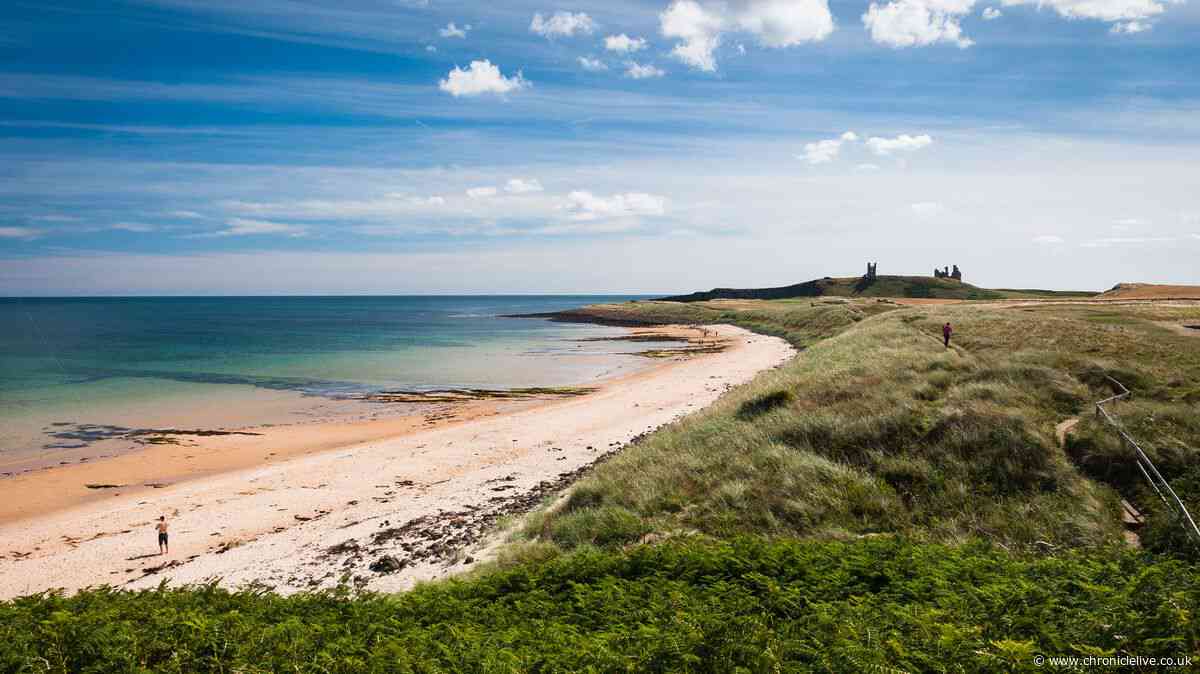 North East has world's most overlooked beach that's 'wonderfully uncrowded' with sugar-white sand