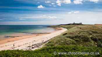 North East has world's most overlooked beach that's 'wonderfully uncrowded' with sugar-white sand
