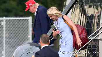 Natalie Harp once 'traveled in a SUV trunk to stay with Trump': New claims spread like wildfire as political brawling breaks out over White House aide