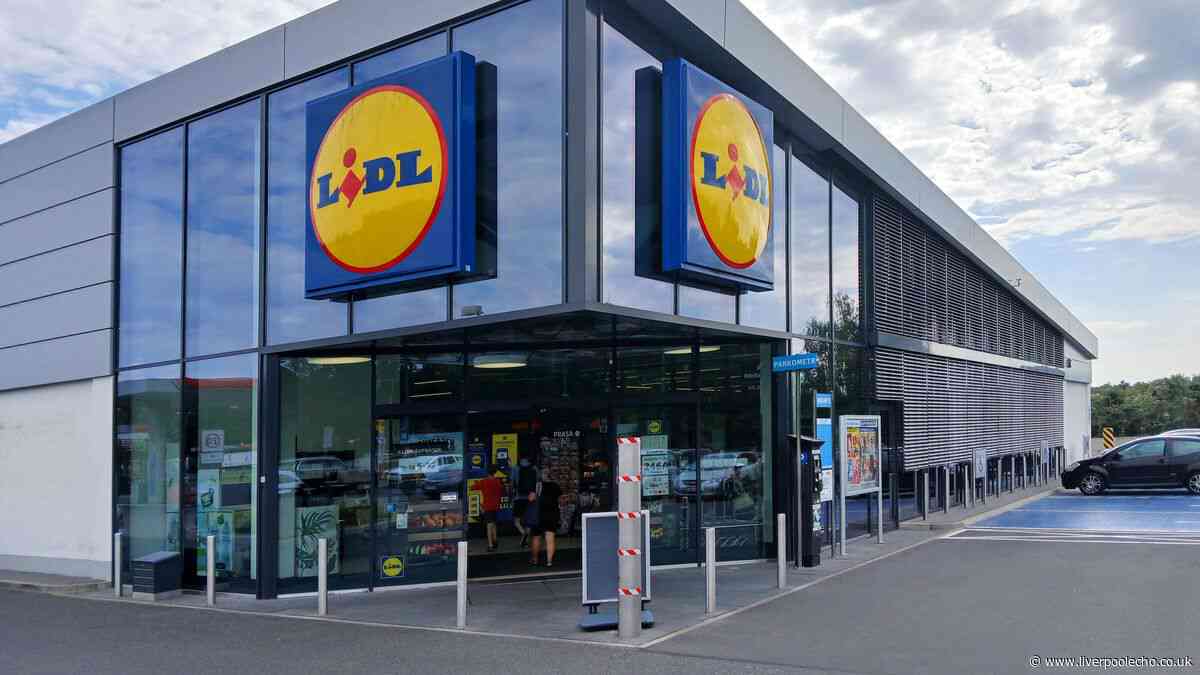 New £6 'glare-free' Lidl light with '90 LEDs' similar to 'seamless' £15 The Range option