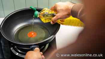 Can you reuse oil after cooking with it? Chef settles debate