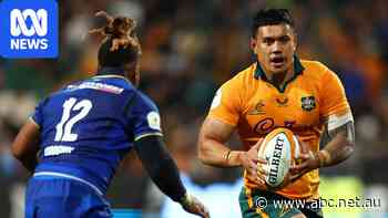 Ikitau back in fray as Wallabies eye Argentina tour