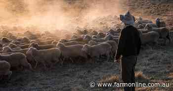 What the latest sheep turnoff figures reveals about our national flock