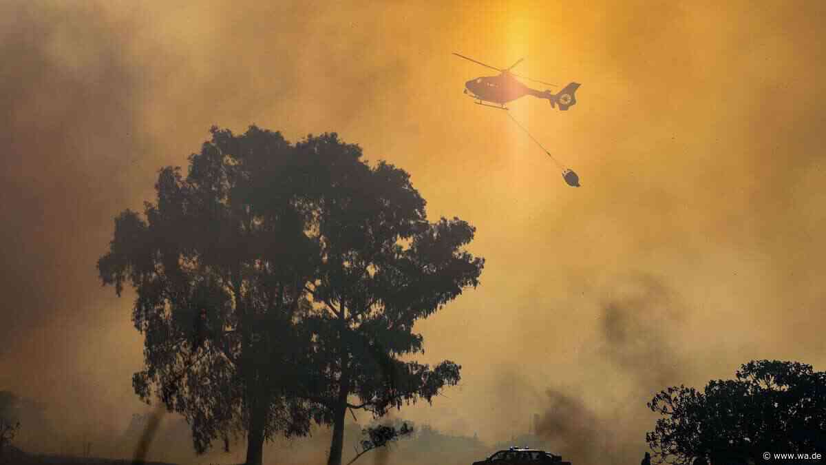 Hartnäckiger Waldbrand in Italien: Feuer lodert auch unter der Erde – was erschwerend hinzukommt