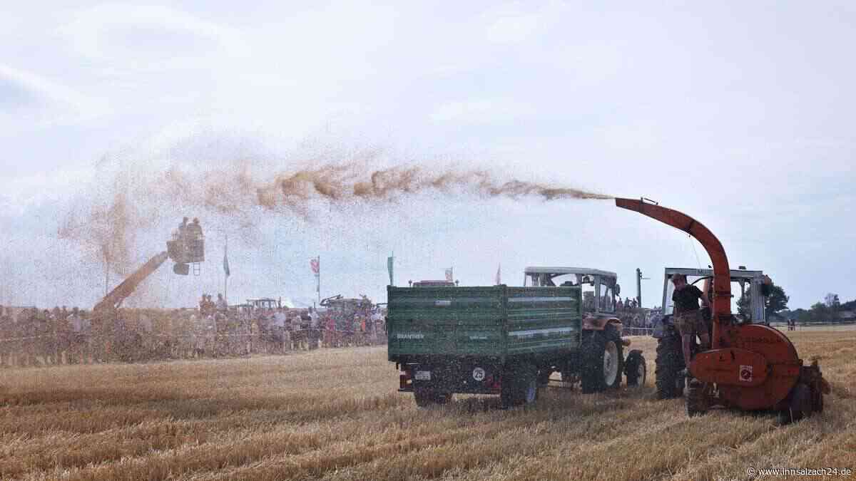 Fiatagri-Feldtag in Sankt Wolfgang: orangefarbene Traktoren im Einsatz