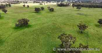 Two diverse SA grazing blocks join flood of cropping country in spring sales