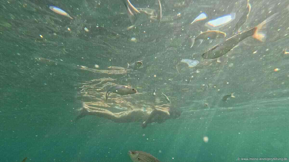 Rekordwärme in Europas Meeren geht auf Klimawandel zurück