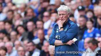 I have been to every Everton friendly - this is what I think about the season ahead