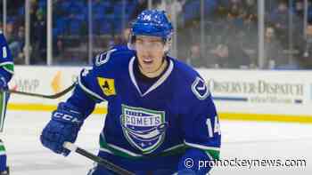 Comets add Zalewski to coaching staff