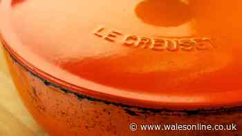 Woman finds entire Le Creuset collection in charity shop and price floors her