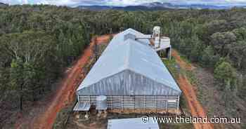 GrainCorp auctions off surplus assets with Ulamambri still on the market