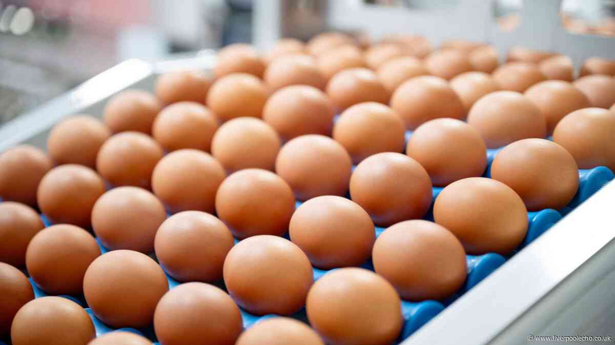 Brits urged to check eggs for one symbol after salmonella outbreak