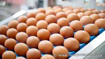 Brits urged to check eggs for one symbol after salmonella outbreak