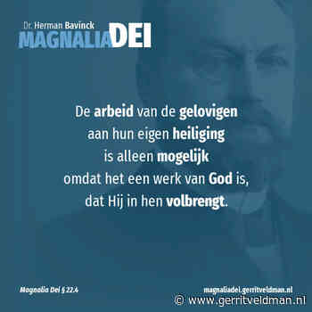 22.4 – Onze heiliging is ook ons werk