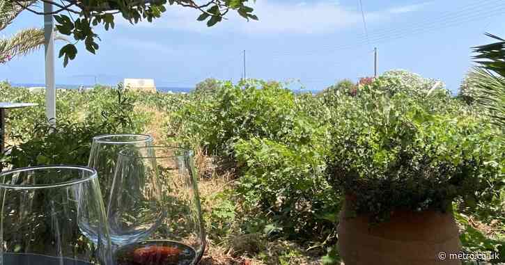 I’ve been to over 100 vineyards, but there’s one I’d go back to in a heartbeat 