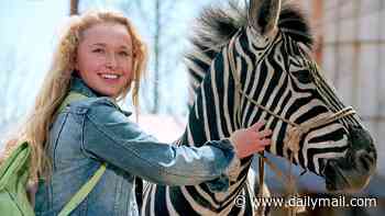 Agony from devastating ZEBRA accident haunted Hayden Panettiere for two decades before death aged 36