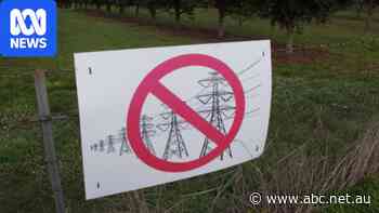 Coalition vows to scrap VNI West transmission project in Victoria