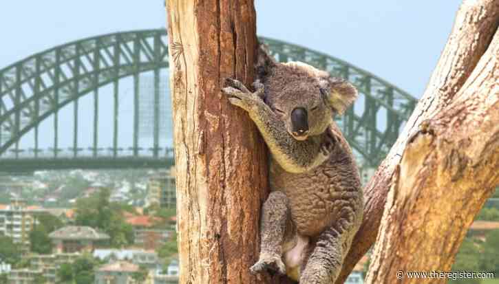 Australian hotel chain leaks guests’ PII after breach at third-party database operator